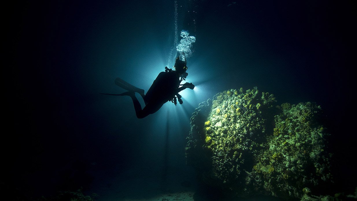Night Diving